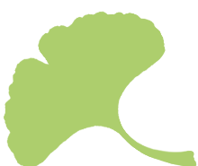 Logo Ginkgo-Blatt