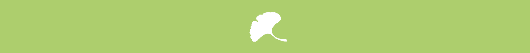 Logo Ginkgo-Blatt