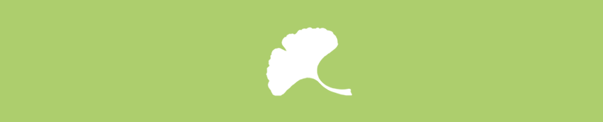 Logo Ginkgo-Blatt